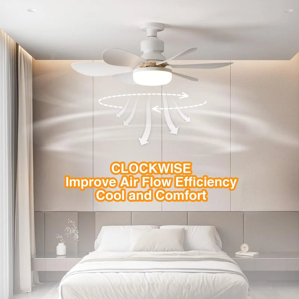 Ceiling Fan Light with Remote Control for Dimming Hanging Mini Ceiling Fans for Bedroom,Indoor，Living Room Colorful Blades